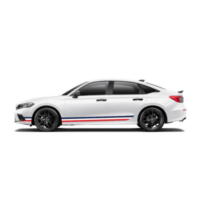 TEM SƯỜN - FRENCH FLAG STYLE RACING